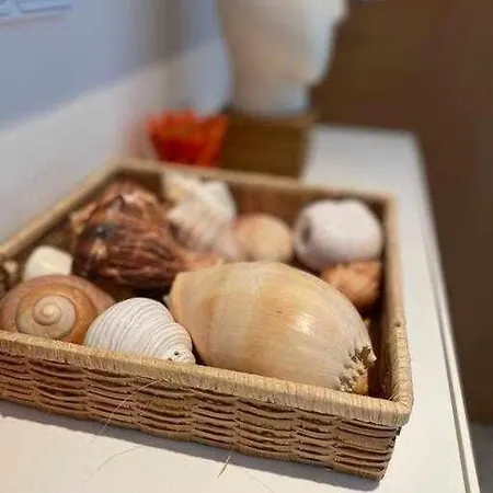 Directo A La Playa Con Vistas Del Mar *